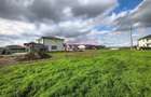 Casă individuală zona București-Ilfov în Măgurele aproape de pădure - 9