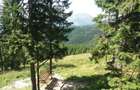 De vanzare, cabana Ranca, judetul Gorj - 5