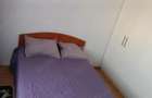 Apartament 2 camere de inchiriat, decomandat, mobilat zona Valea Ialomitei - 8
