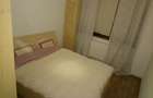 Vand apartament 3 camere Damaroaia Jiului zona linistita - 12