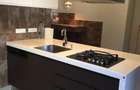 Apartament 6 camere Lascar Catargiu 253mp - 10