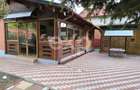 Casă deosebită 5 camere, 2100 mp teren, livadă – Mălureni, Argeș - 5