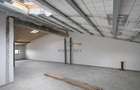 Mutare rapida! Duplex P+1+M, 170mp, asfalt, utilitati! Comision 0%! - 17