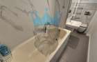 Apartament 2 Camere Piata Unirii Bucuresti - 17