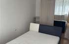 Inchiriere casa 3 camere cu gradina de 500 mp in Dambul Rotund - 13