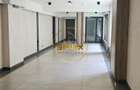 3 rooms / Stefan cel Mare – Dacia / ground floor with terrace and garden - 30