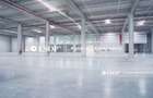 Spatii activitati industriale in Logicor Mogosoaia, 2.000 - 38.000mp - 2
