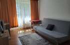 Teiul Doamnei - Garsoniera bloc mixt - 4