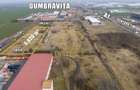 Teren pentru uz comercial - industrial 5620 mp | Dumbravita - 1