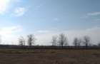 vanzare teren 2.000 mp in Constanta zona Varful cu Dor-Sere - 4