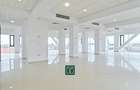 Spațiu de birouri de 200 mp in cladire de sticla în Micalaca - 2