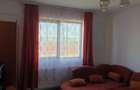 Apartament cu 1 camera decomandat Valea Adanca Cod oferta 162338 - 10
