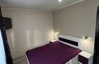 Apartament cu 3 camere, decomandat, 68 mp, mobilat si utilat + acces 100 mp - 7