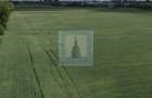 Teren intravilan 50000 mp, cu PUZ, Aprobat - zona Halchiu/Codlea - 7
