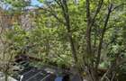 3 Camere | Rahova | Decomandat | Balcon | 71 Mp | 1982 - 18