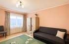 Nivel in casa cu 2 apartamente,145 mp utili+ teren 338mp, Gheorghe Doja - 4
