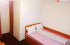 Investiție turistică în Straja – Cabana 10 camere la 150m de pârtie 145.000€ - 2