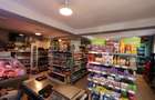 Spațiu comercial + teren, 163 mp utili, 983 mp, Mătăsaru/Poroinica - 2