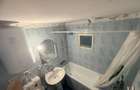 3 camere Teiul Doamnei - 11
