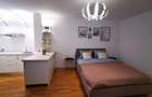 apartament 1 camera Bulevardul Take Ionescu / Medicina ! - 11