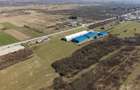 Teren extravilan de 7.000 mp lângă Păltiniș - 12