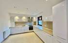 Modern villa, complex, terrace jacuzzi, security, Iancu Nicolae - 5