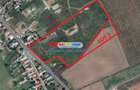 Vanzare teren 38.000 mp Tanganu Cernica - 2