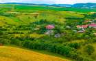 Casă pe deal, cu poveste | Teren 4.874 mp | Chiheru de Sus, Mureș - 13