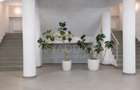 Centru comercial  Premiun / 2960mp // Giurgiu - 1