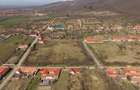 Conac nobiliar de secol XIX cu 8 camere în Maciova - 10