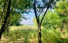 2066 mp teren deschidere lacul Grivita 24m zona deosebita in Damaroaia - 5