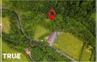 Teren intravilan 2.800 m² în Câmpu Cetății – liniște și natură - 4