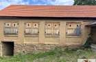 Casa de vanzare in comuna Sasciori cu 84.843 mp teren - 2