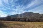 Teren intravilan 2.295 mp, deschidere 60 m – Rășinari, comision 0% - 5
