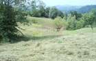 Teren extravilan de vanzare in Telega - 1
