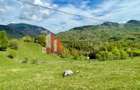 Teren in sat Pestera, comuna Moeciu. - 4