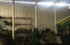 Showroom cu depozit/Cal. Grivitei - 6