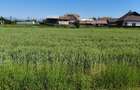 Teren 10.294 mp de vânzare Târgu Jiu | Intravilan + Extravilan | Utilități - 5