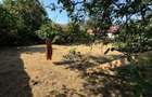 Teren cu casă demolabilă zona centrală Eforie Nord - 5