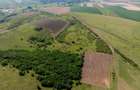 Teren arabil de 2009 hectare în Mureș