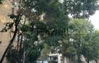 APARTAMENT 3 CAMERE I ZONA DOROBANTI I RENOVAT COMPLET - 21