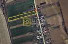 Teren 5000 mp, Dumbrava - Itesti, jud. Bacau, la E85 - 3