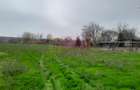 De vanzare casa +teren 16k mp in BARCANESTI / IL - 26