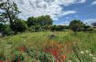 Teren intravilan 390mp, str Mugur nr 26B - Focsani 85 euro / mp - 5