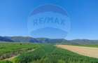 Panoramă deasupra lumii Teren de poveste Gura Râului, zona Peste Grui - 2