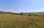 Teren intravilan de vanzare – 3.800 mp – Babutiu, jud. Cluj - 1