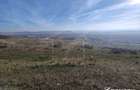 Teren zona Colonia Hodai, 10320 mp, Utr - TDA-L, terasat, acces auto - 3