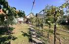 Casa 4 camere,curte si gradina 700 mp, Sebes