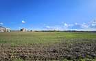 Teren intravilan Balotesti / 5.000 mp / D: 18 m / langa lac / comision 0% - 9