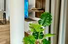 Inchiriere Penthouse 4 Camere Iancu Nicolae - 8